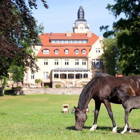 Hébergement de vacances Haus 9 *